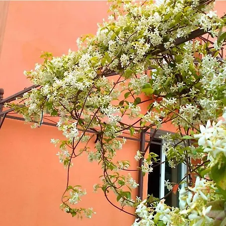 Apartamento T3 L'olivier&jardin 1 à 4 Pers à Terra