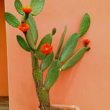 T3 L'olivier & Jardin 1 A 4 Pers A Terra *