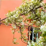 Appartement T3 L'olivier&jardin 1 à 4 Pers à Terra